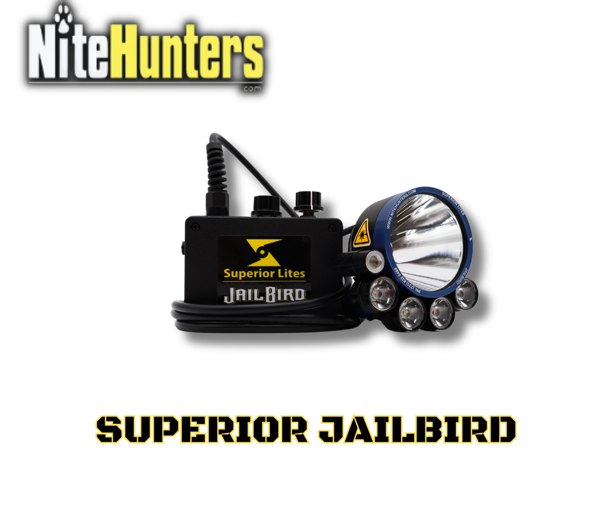 2024 Superior JailBird Belt Light – Nitehunters.com
